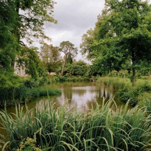 domaine de, Toury, Marc Deneyer  